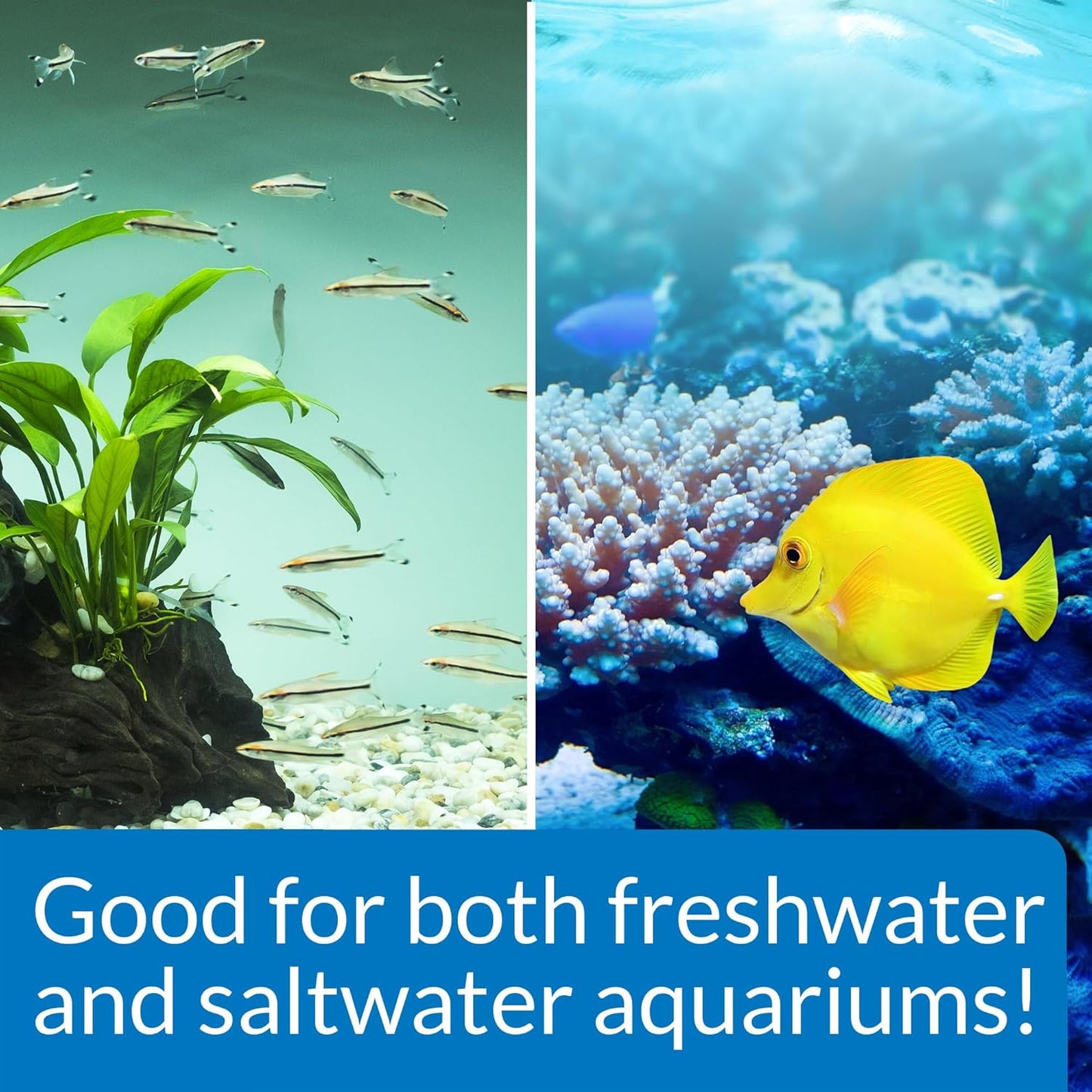 Stress Zyme Bacterial Cleaner, Freshwater and Saltwater Aquarium Water Cleaning Solution